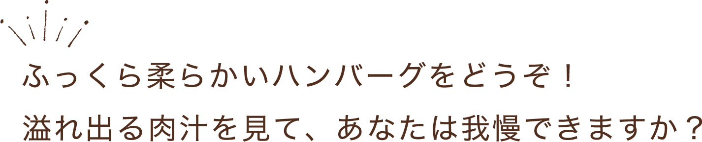 ふっくら柔らかいハンバーグをどうぞ！溢れ出る肉汁を見て、あなたは我慢できますか?